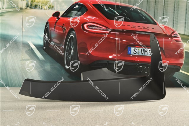 Targa, Verdeckkasten Verkleidung, Schwarz, R