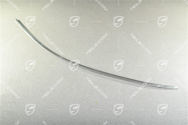 Front door Trim strip, upper, Galvano silver, L