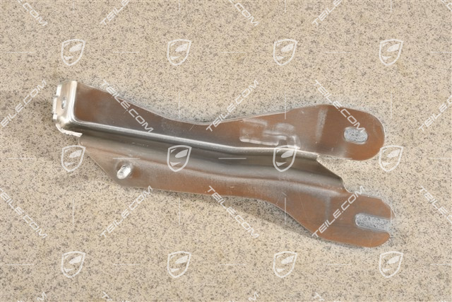 Rear heat shield, support, L
