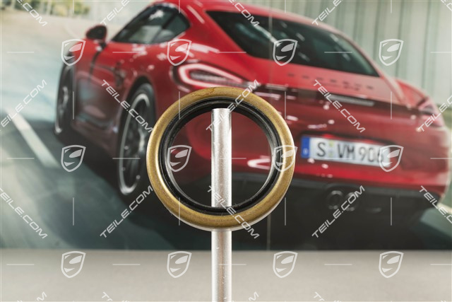 Radialdichtring