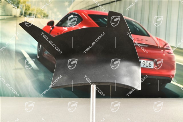 Rear light cover, outer, L