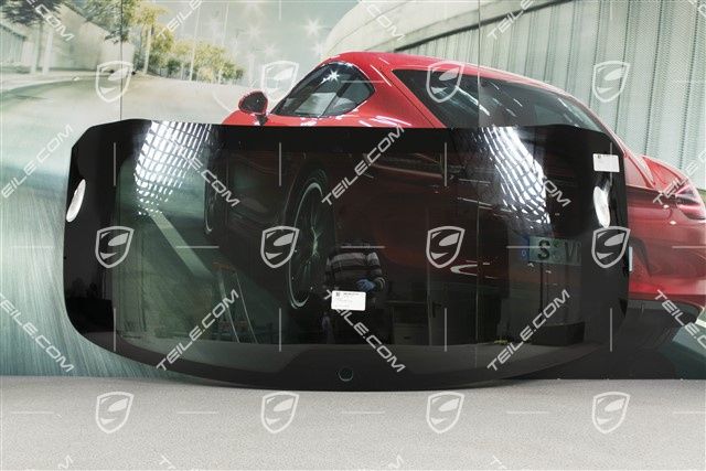 Rear window, dark tinted / CDR31