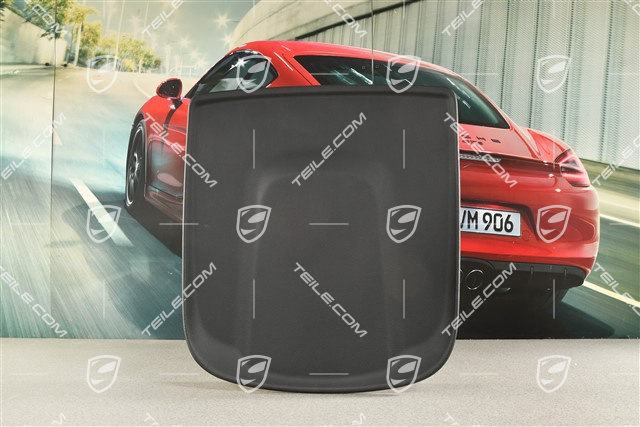 Front seat Backrest shell, Black