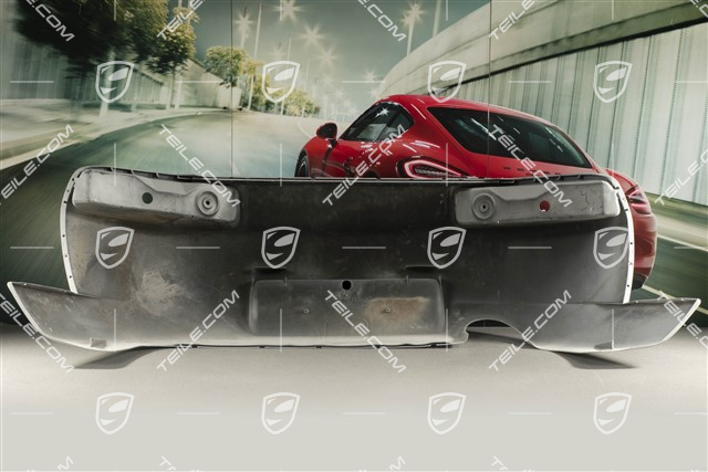 Bumper lining, rear
