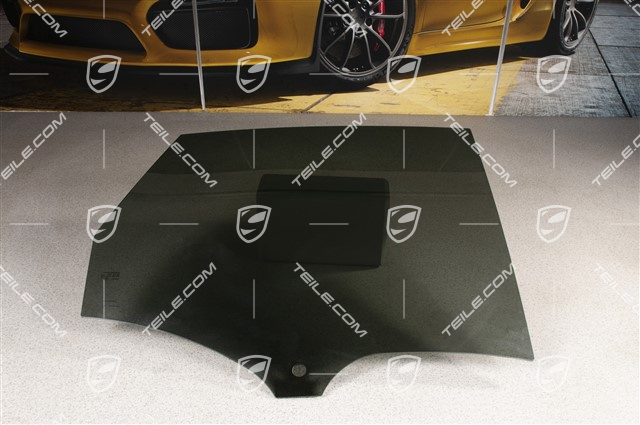 Rear door window glass, Privacy glazing, R
