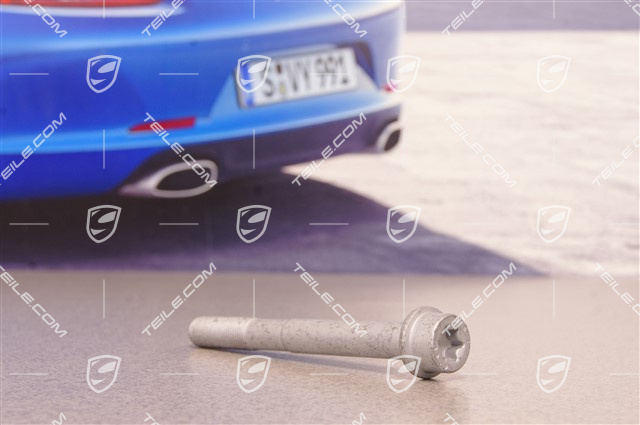 PCCB Front Brake calliper Screw M14 x 1,5 x 135 PCCB Front Brake calliper Screw M14 x 1,5 x 135