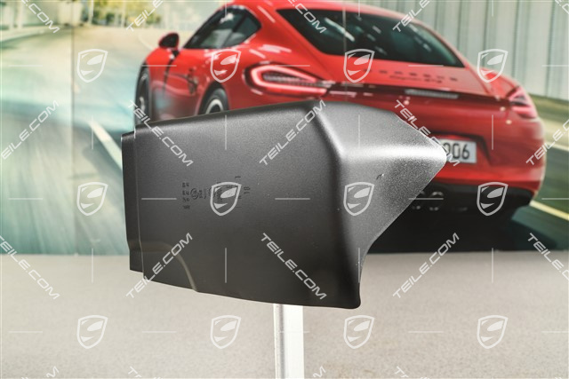 Tail light centre, trim, Coupe, L
