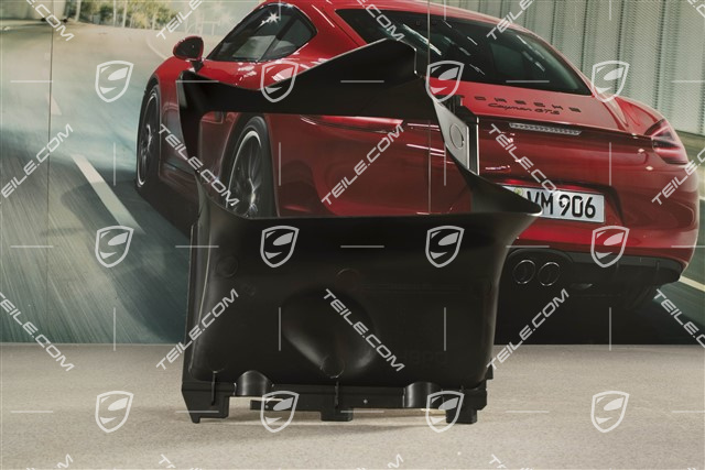 4,2TDI/3,6 V6 Turbo, Air guide, R