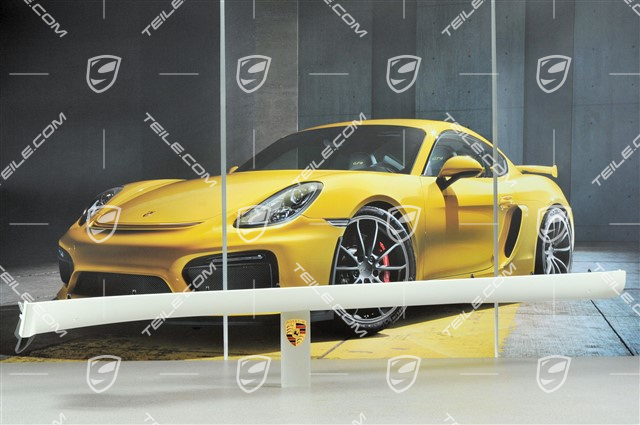 Schwellerblende lackiert, C4 / 4S / Turbo / GT3 RS, R