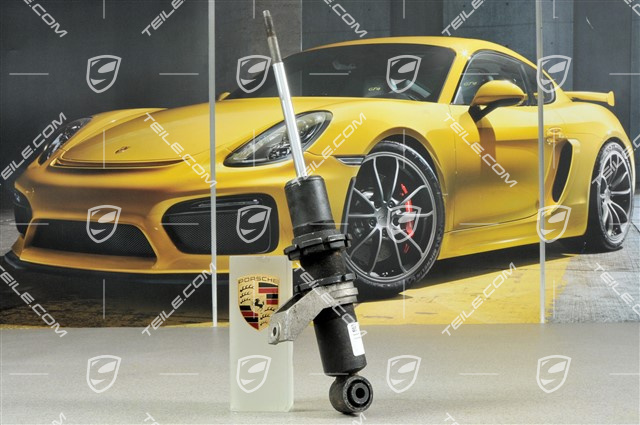 Stossdämpfer, GT3, Bilstein, L=R Stossdämpfer, GT3, Bilstein, L=R
