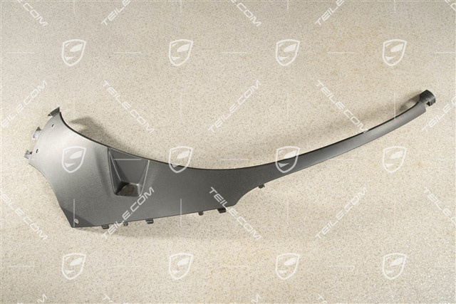 Headlight trim, R