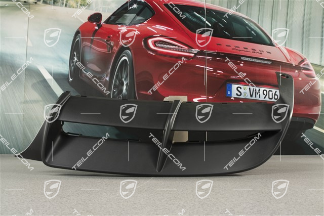 Lining rear, lower, Spyder, L