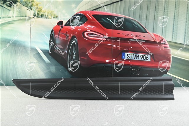 Door cover, rear, R