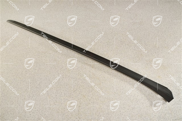 Windshield Water drain strip, A-pillar, black matte, L