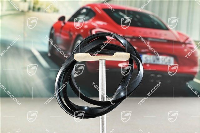 Dichtung, Targa