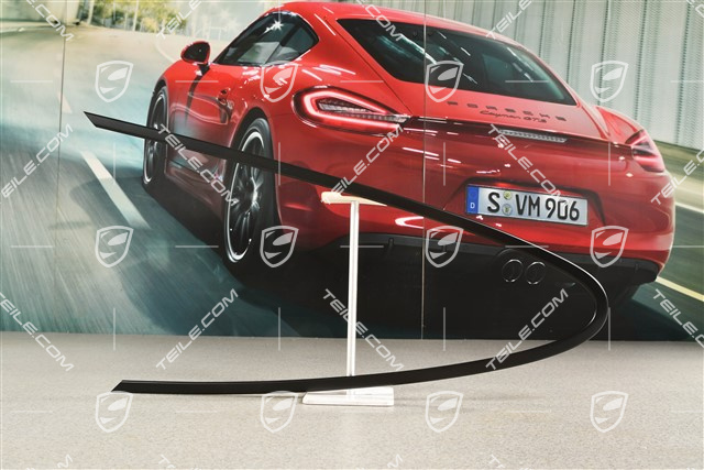 Black plastic trim for side window, Black, R