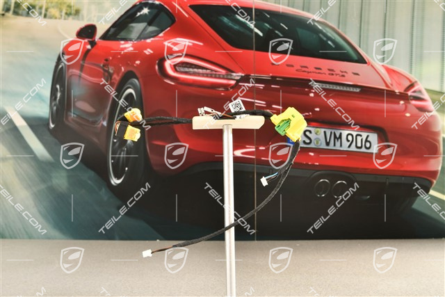 Wiring harness, Steering wheel