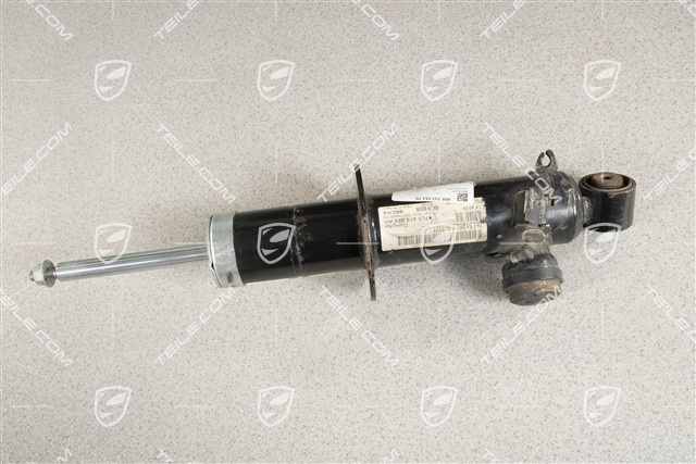 Stossdämpfer / Schwingungsdämpfer, HA, PASM / V8, R