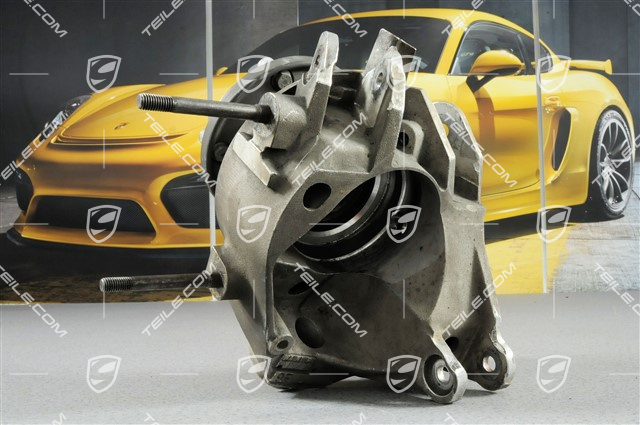 Radträger hinten GT3 CUP 2012, R