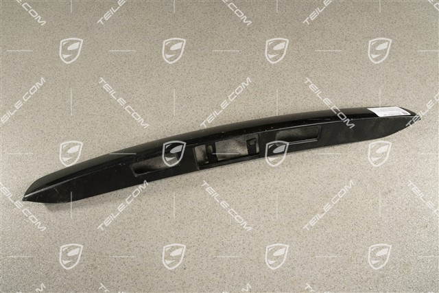 Tailgate handle housing / license plate light housing