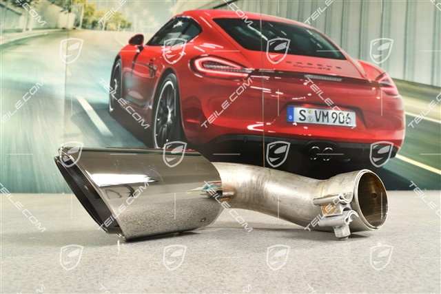 Exhaust system tailpipe, 4-pipe look, black, inner, L