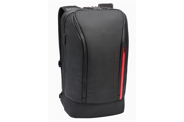 2-in-1 travel bag