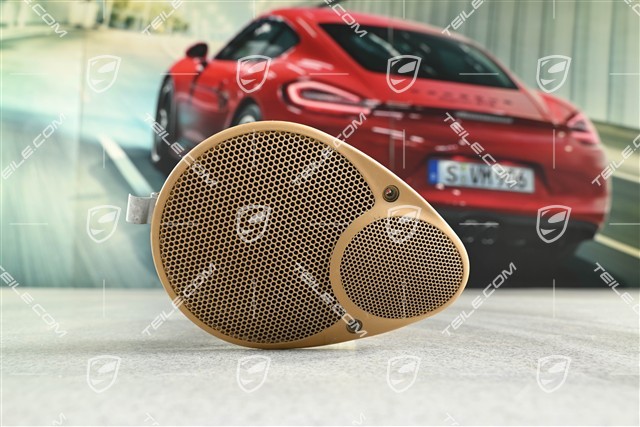 Coupe / Targa, Loudspeaker, Savanna, rear, R