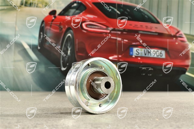 Spannrolle / Riemenspanner