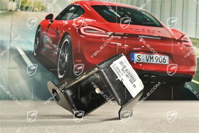 Mounting, side member, rear, R