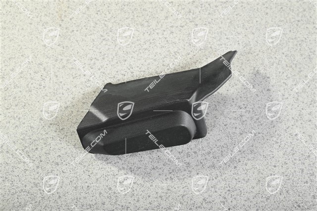 Tail light trim, L