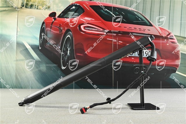 Damper cylinder Trunk / boot lid, Sport / Cross Turismo, L=R