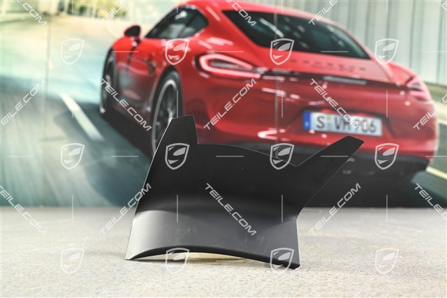 Rear light cover, outer, L