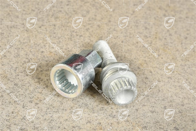 Anti theft protection screw with adapter