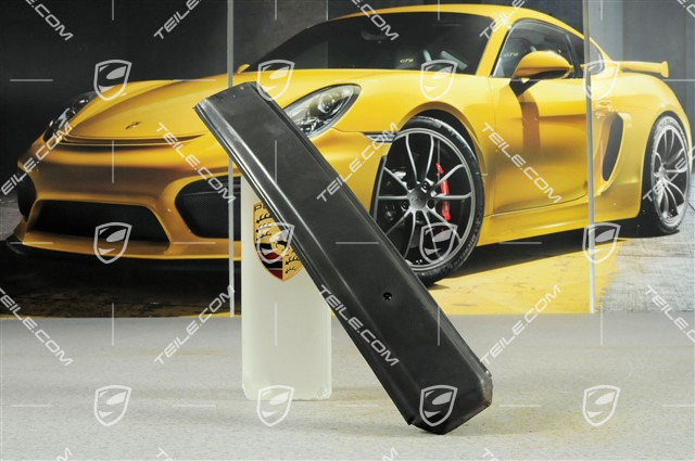 Bumper trim strip, R Bumper trim strip, R