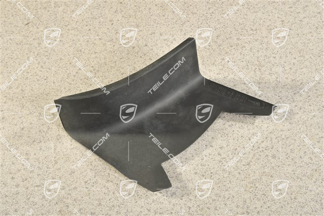 Rear light cover, outer, L