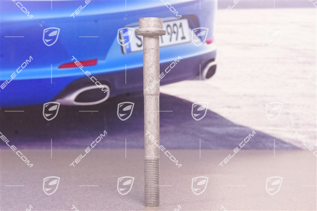 PCCB Front Brake calliper Screw M14 x 1,5 x 145
