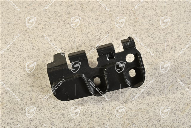 Halter, L