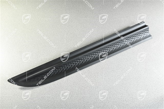 Door cover, rear, R