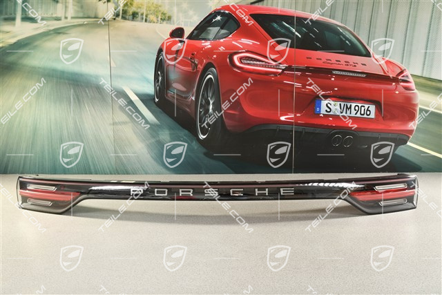 Rear light covering, center, Porsche logo in Silver, USA version