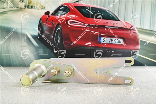 Suspension Spring Plate / Rear axle strut L=R