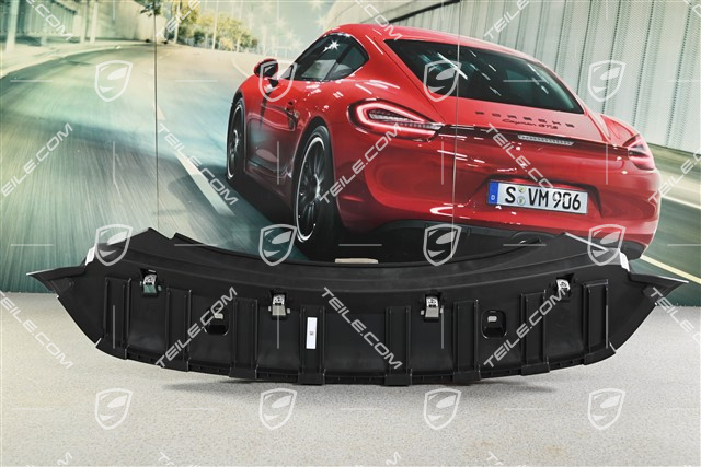 Spyder, Rear spoiler lower lining