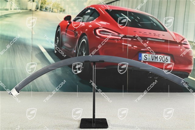 Wide wheel arch cover, rear door, paintable, R