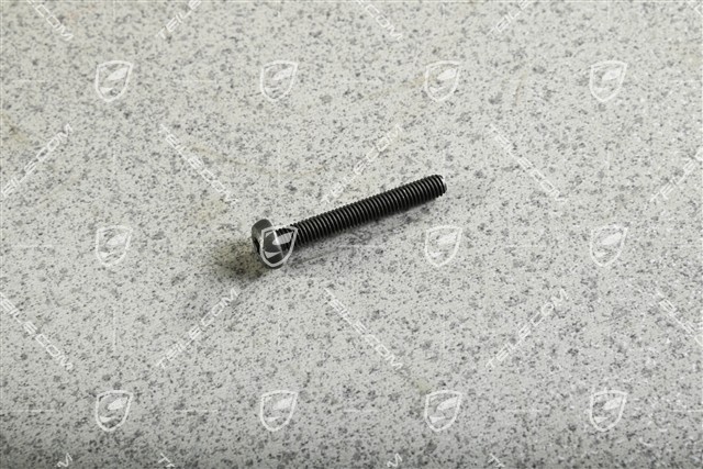 Torxschraube M6 x 45 Torxschraube M6 x 45