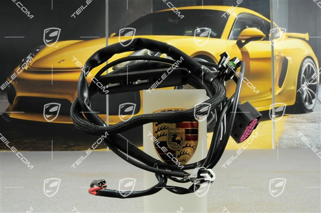 Wiring harness with microswitch, coupé Wiring harness with microswitch, coupé