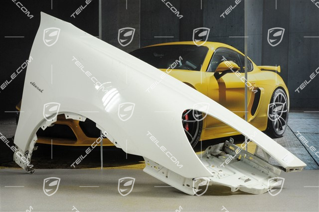 Wing, damaged, R Wing, damaged, R