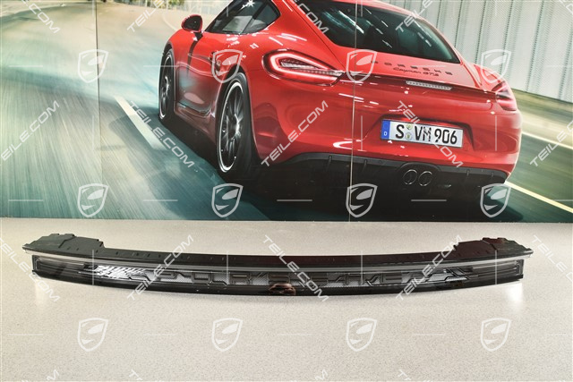 Rear light /  light panel, darkened / black, centre