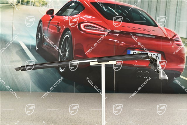 Zierleiste mit Dichtung, Rally Schwarz, R