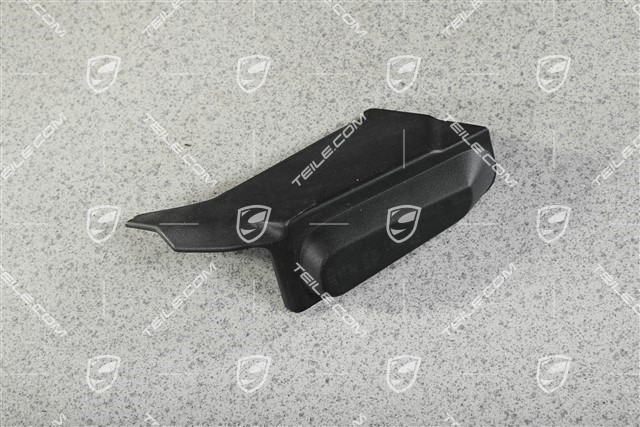 Tail light trim, R